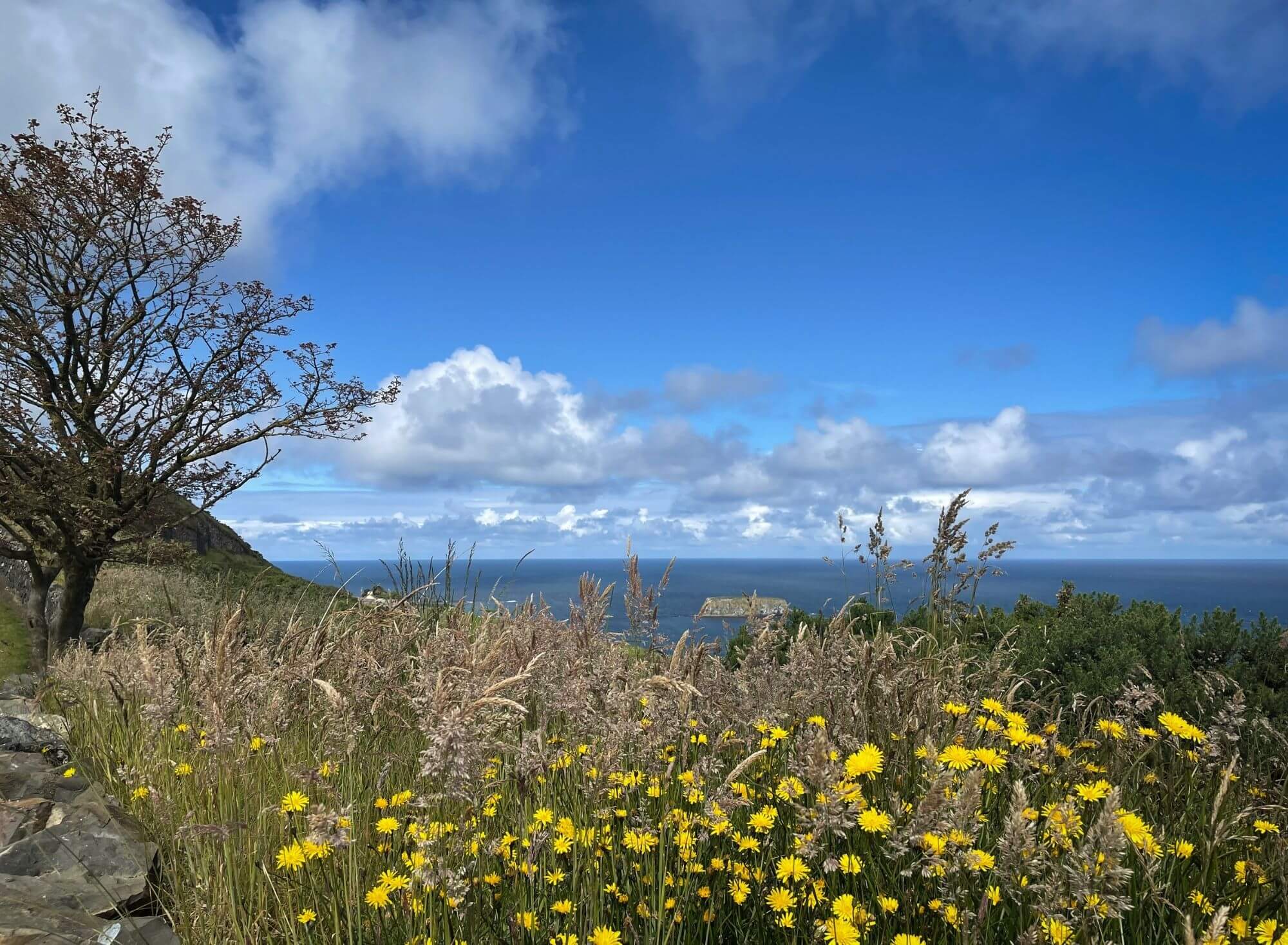 klif, wybrzeże, zbocze, morze