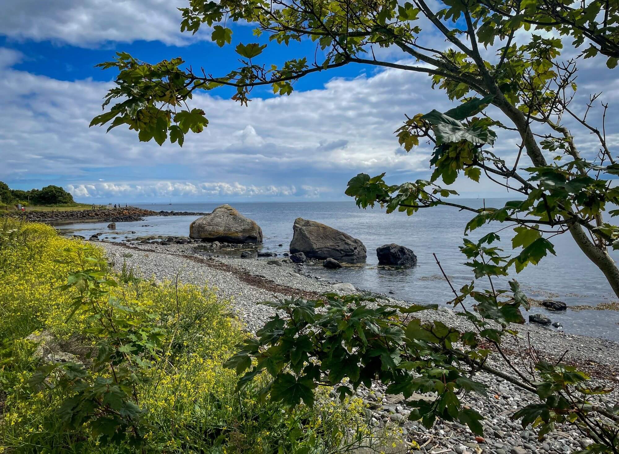 Whitehead, wybrzeże