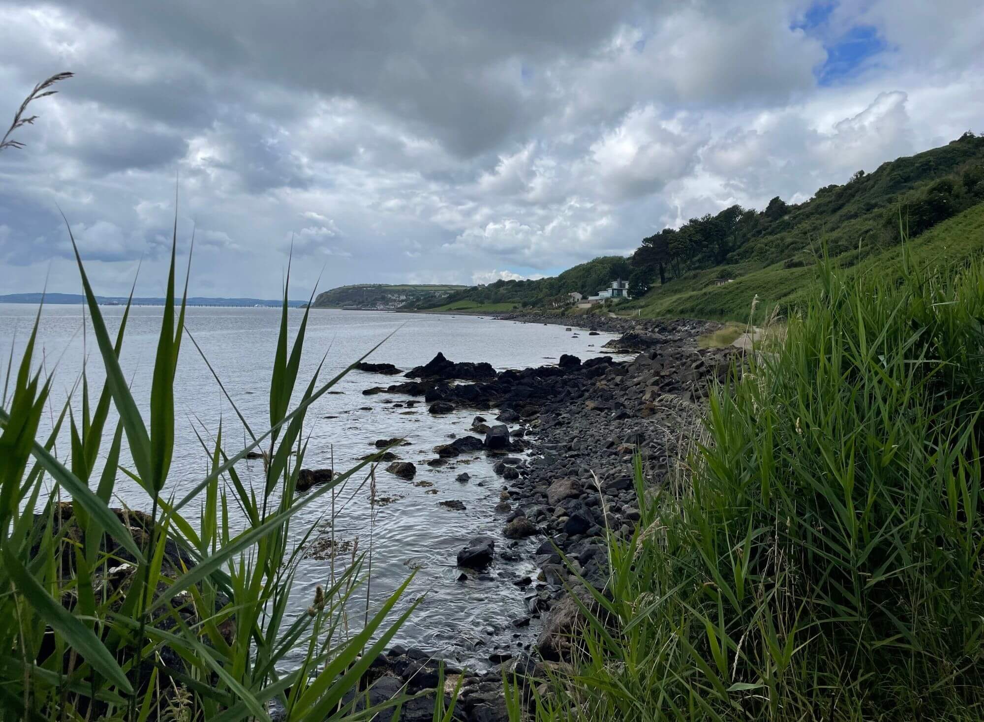 whitehead, irlandia północna, wybrzeże, morze, ocean