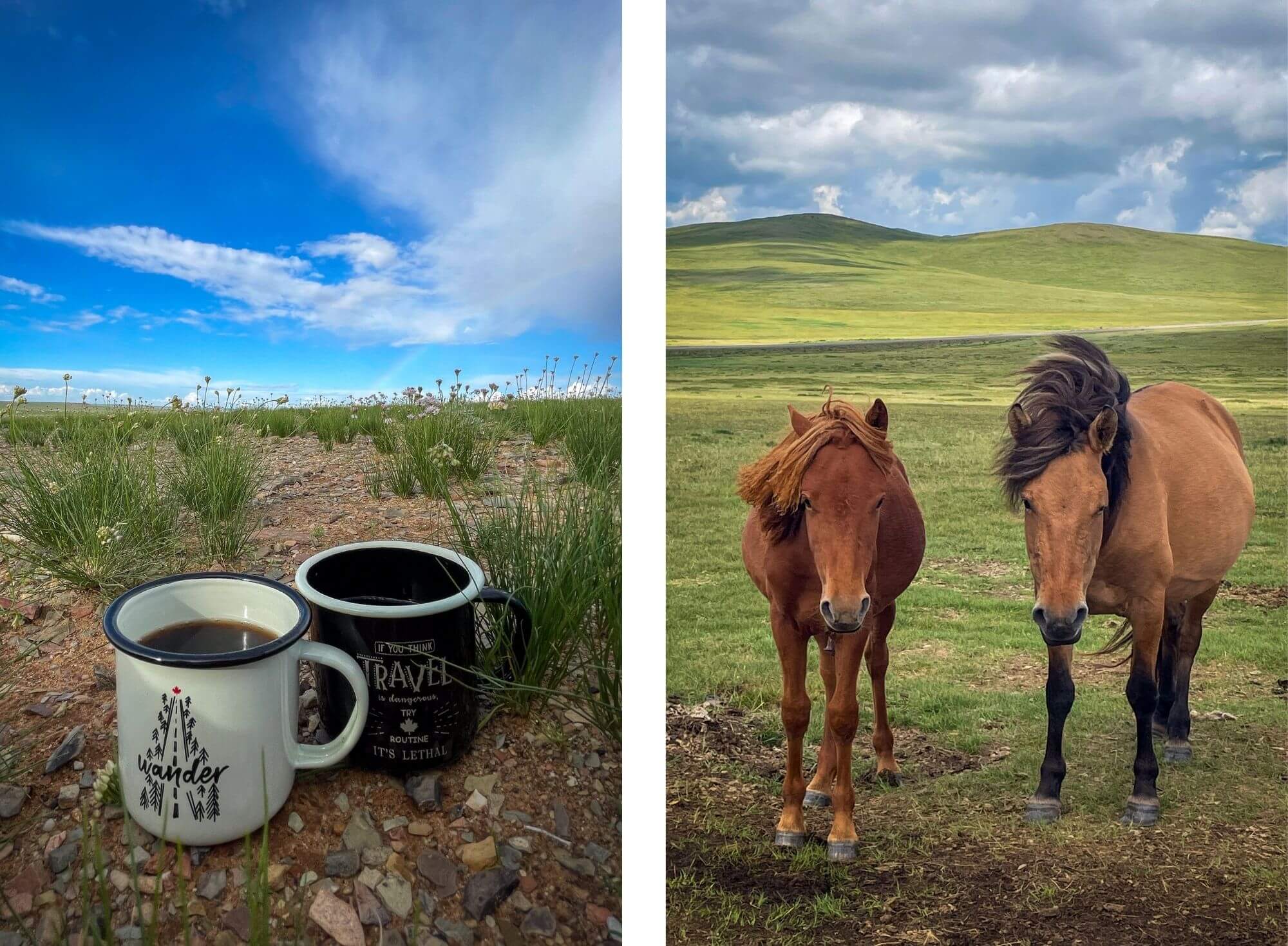 Podróże, konie, step