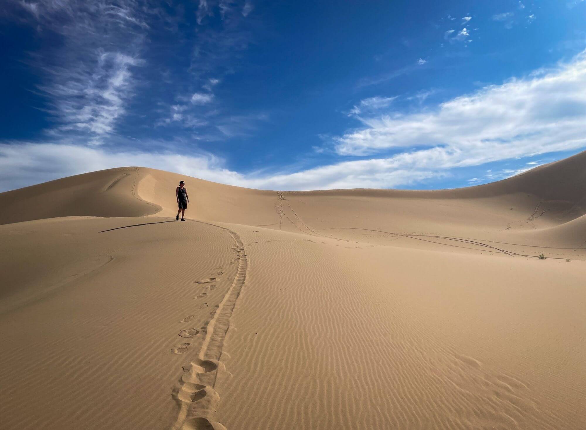 Gobi, pustynia, wydmy, Khongoryn Ela