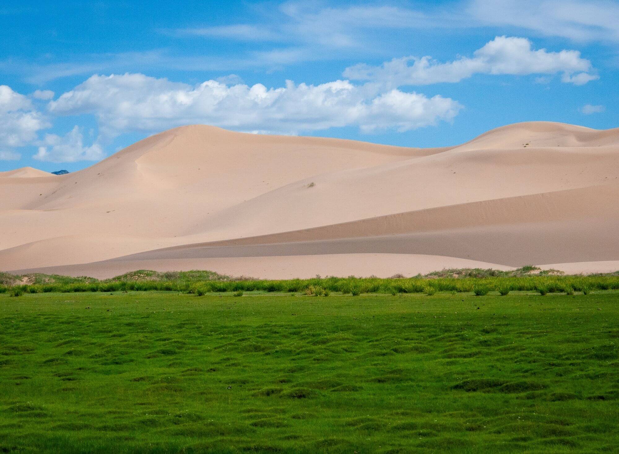 Gobi, pustynia, wydmy, Khongoryn Ela, Mongolia