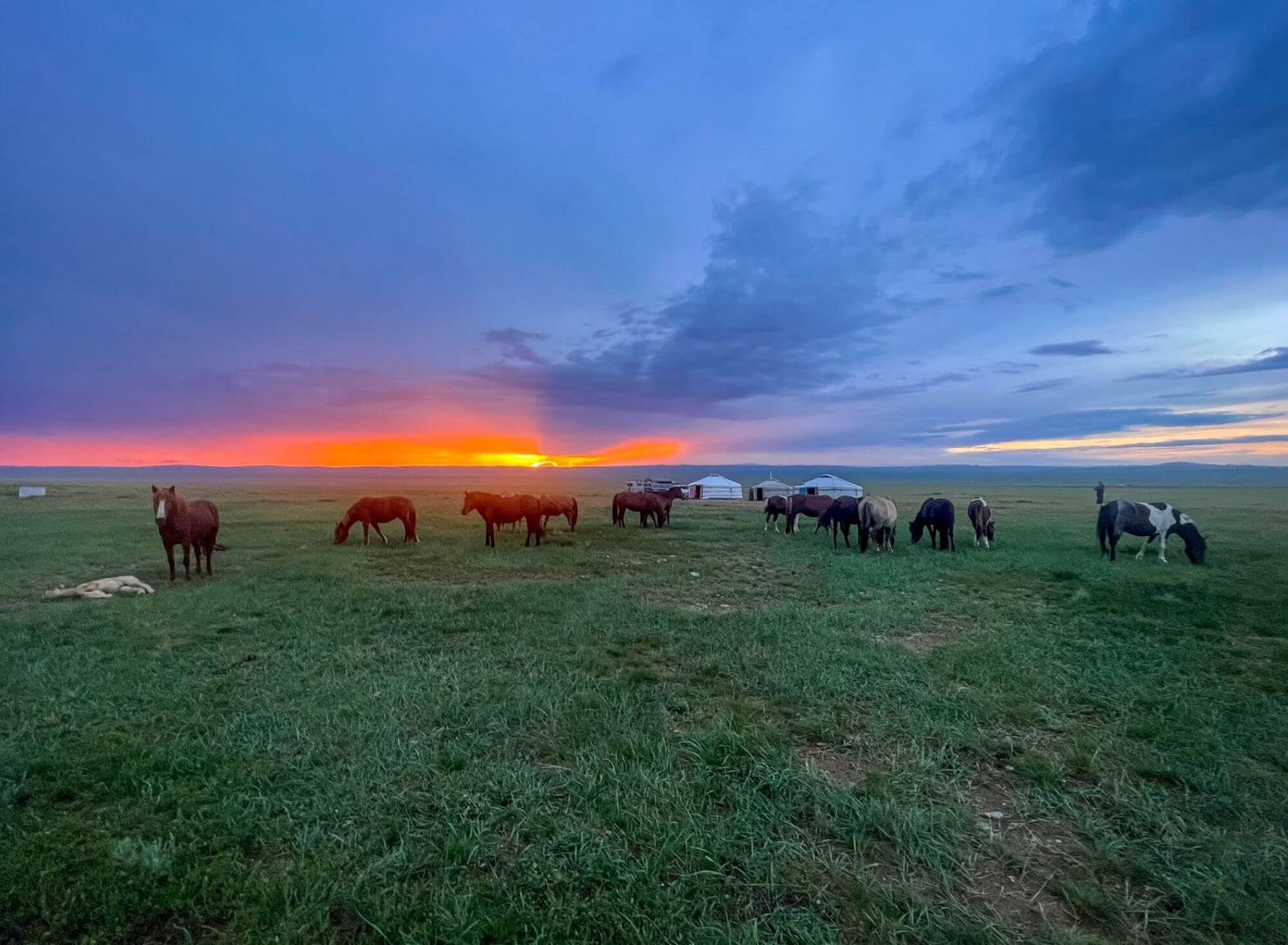 step, konie, podróże, zachód słońca