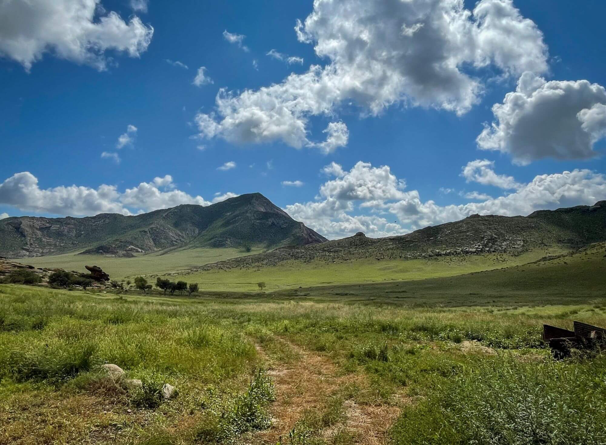Mongolia, step, natura