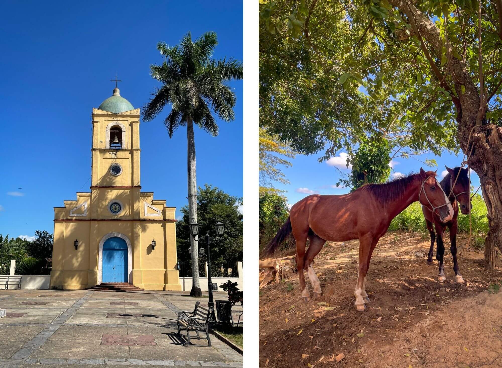 Vinales, konie, kościół, Kuba, Karaiby