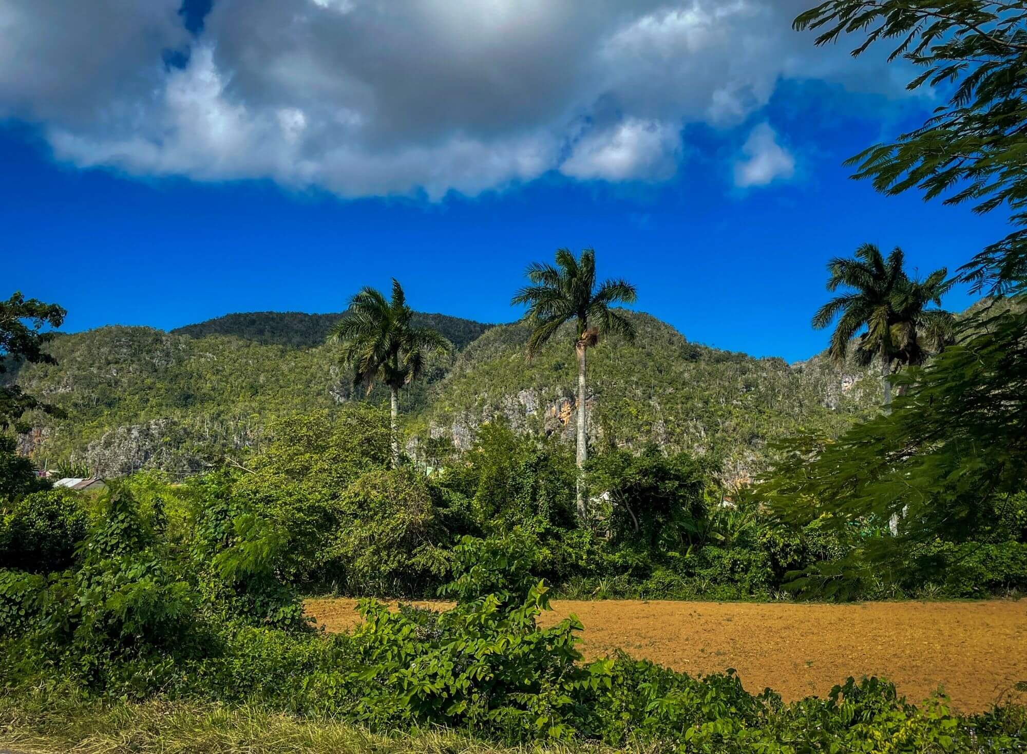 Vinales, Kuba, natura, góry