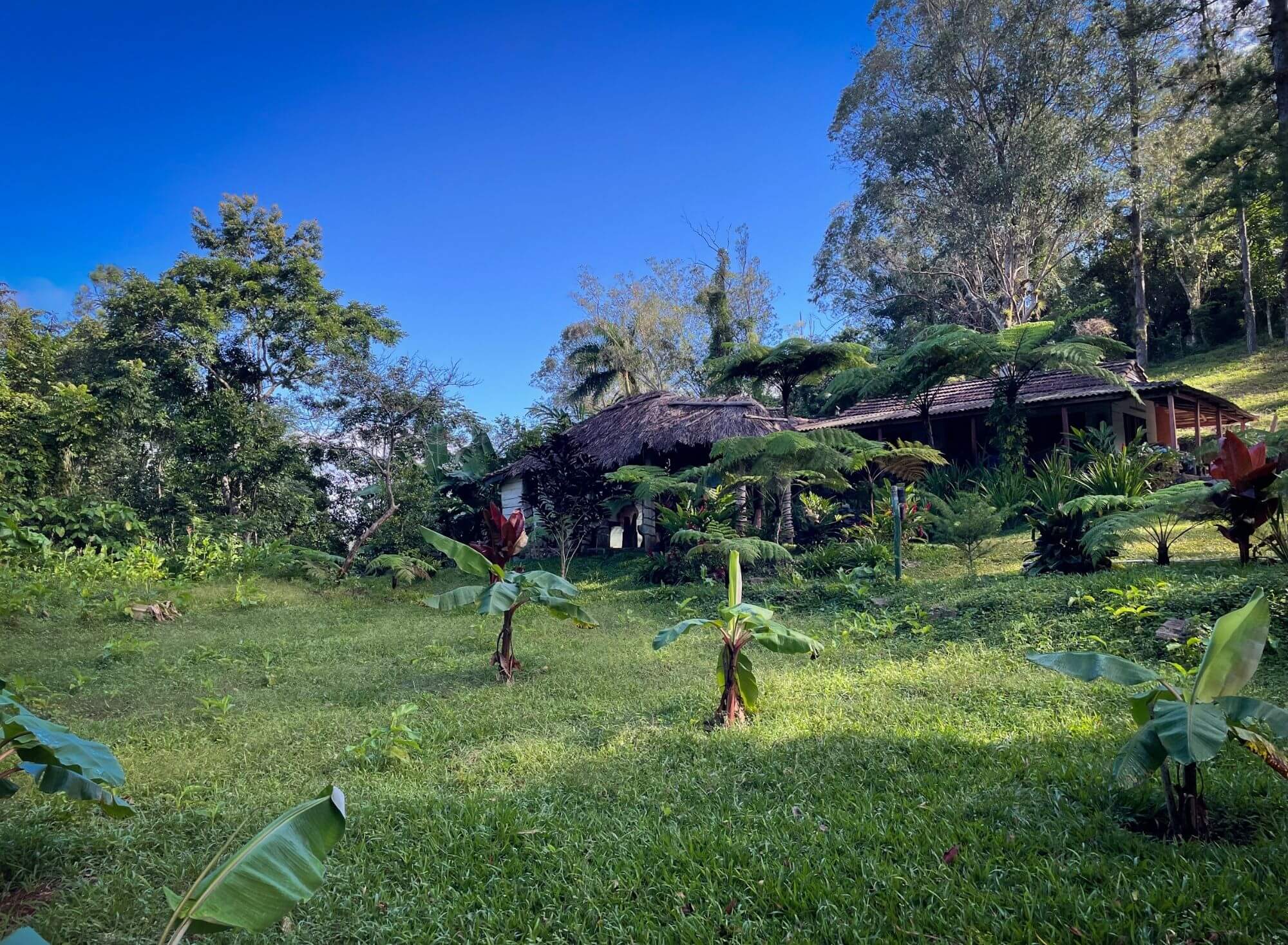 Trek, park narodowy, Trynidad, Gran Parque Natural Topes de Collantes.