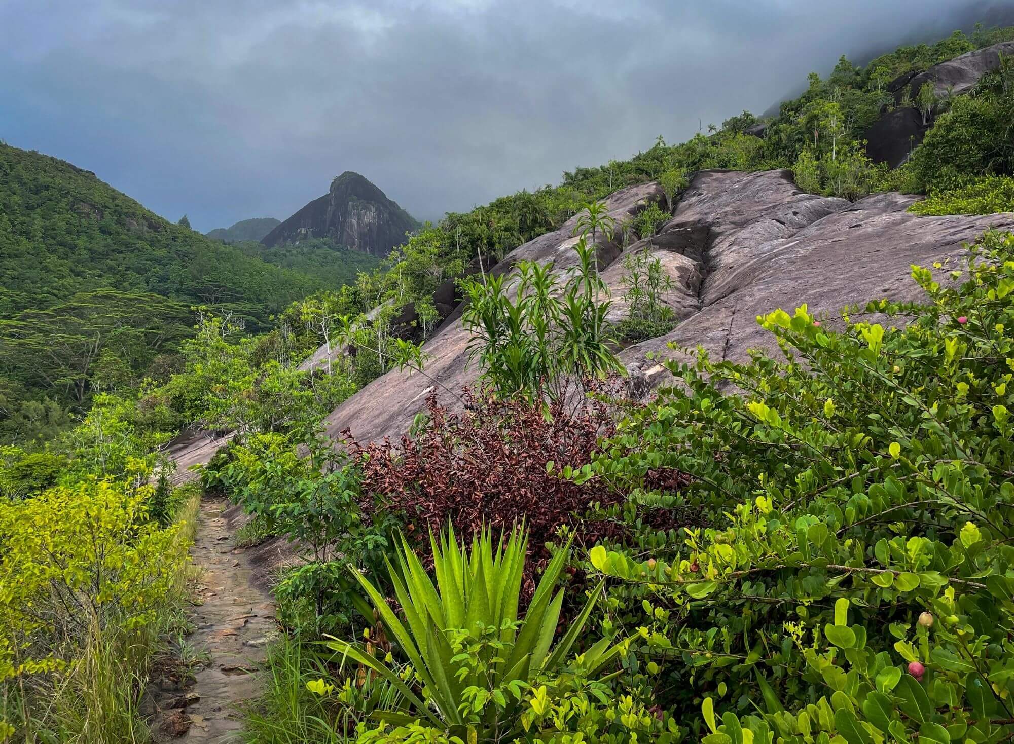 Morne Seychellois National Park, góry, trek